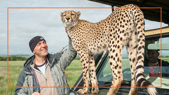 photo of Sean Crane petting a cheetah that is standing on a vehicle
