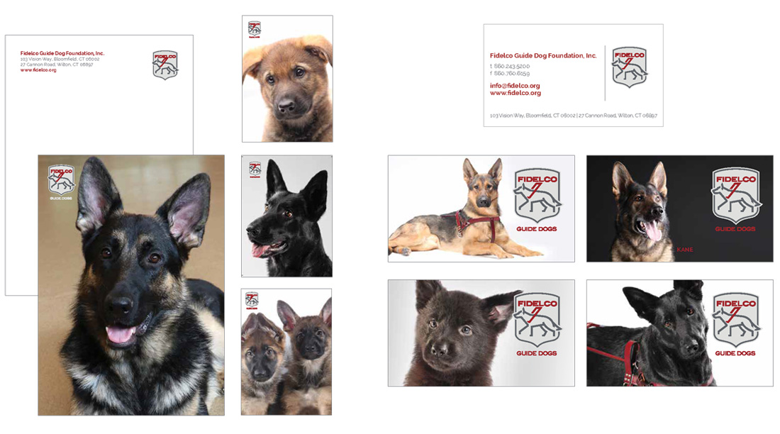 Fidelco Guide Dog business cards 